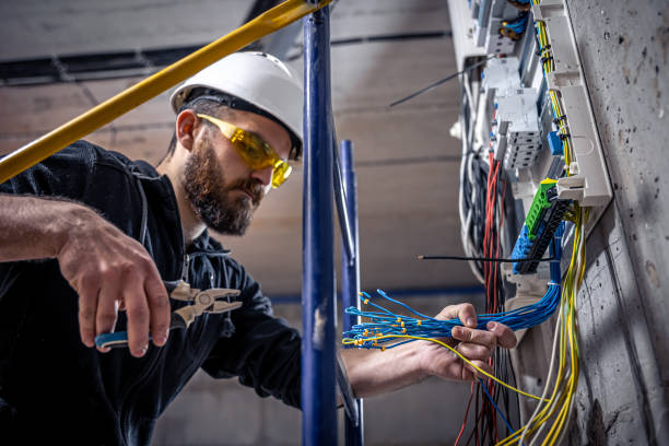 Best Home Electrical Repair  in Barneveld, WI