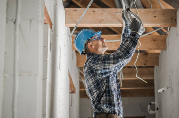 Best Local Electrician Companies  in Barneveld, WI